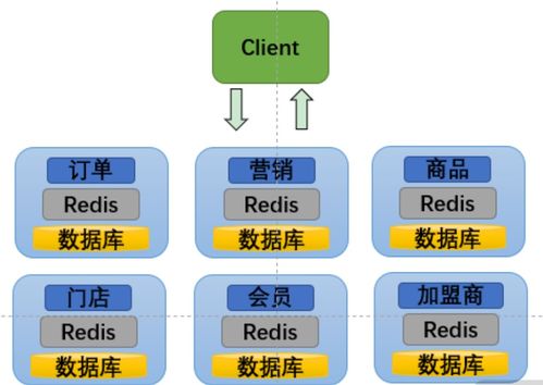 微服務(wù)的痛點(diǎn) 基礎(chǔ)軟件服務(wù)面臨的挑戰(zhàn)